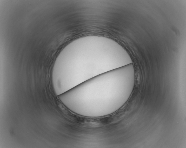 X0000114100559200910051233