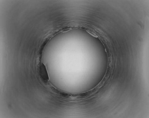 X0000114100560200910051233