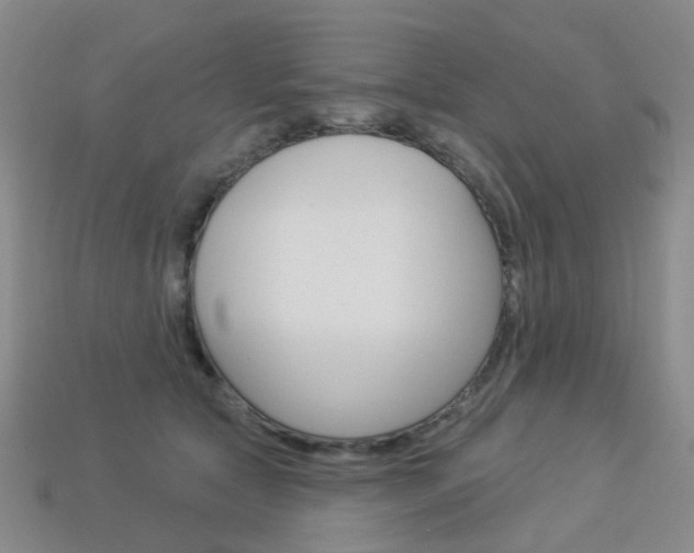 X0000114100561200910051233