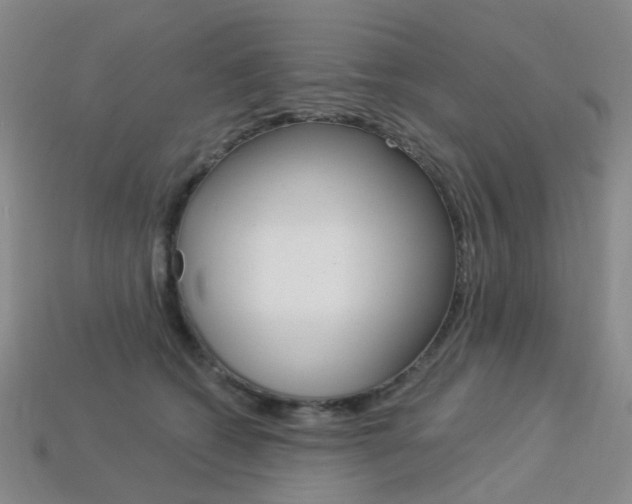 X0000114100562200910051233