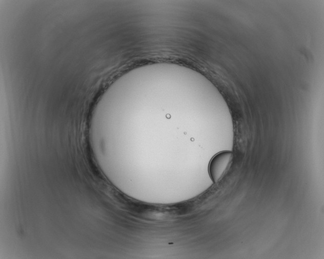 X0000114100563200910051233