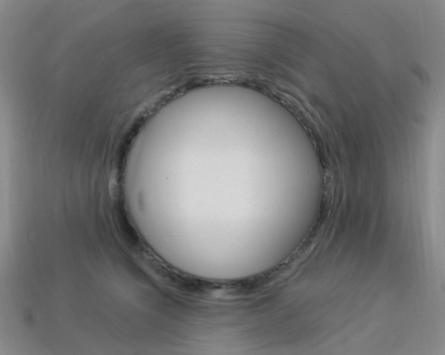 X0000114100564200910051233