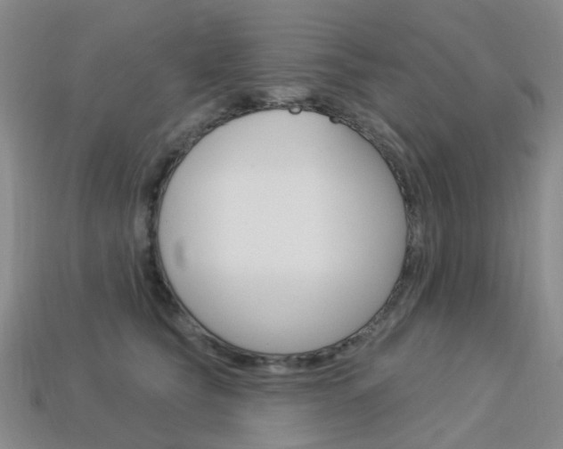 X0000114100565200910051233