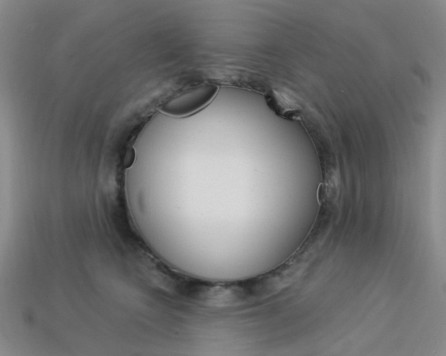 X0000114100566200910051233