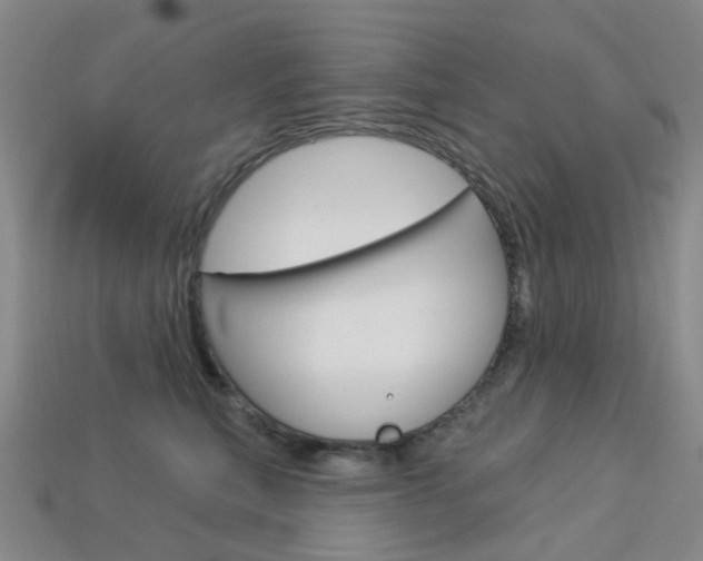 X0000114100567200910051233