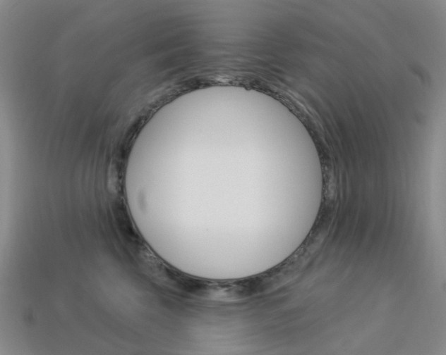 X0000114100569200910051233