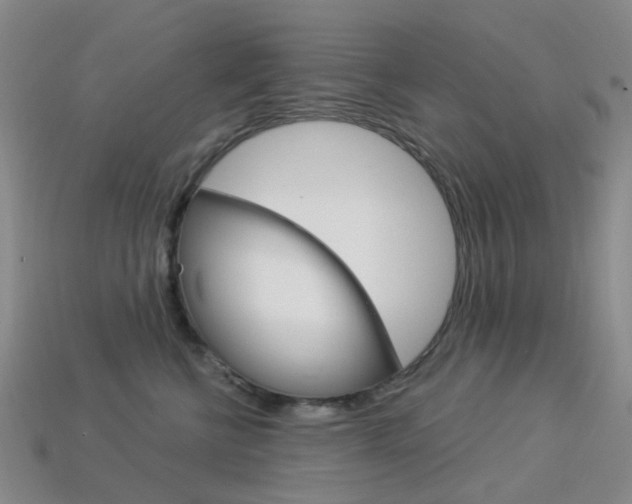 X0000114100570200910051233