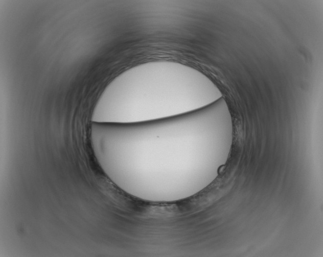 X0000114100571200910051233