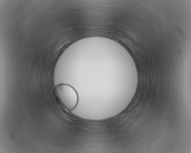 X0000114100572200910051233