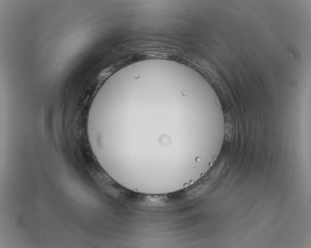 X0000114100573200910051233