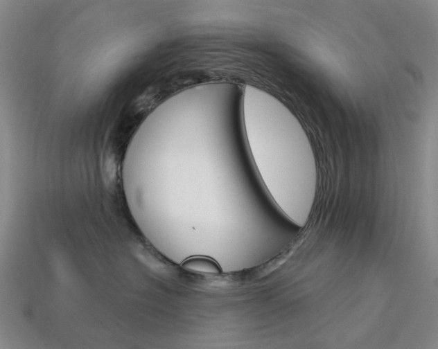 X0000114100574200910051233