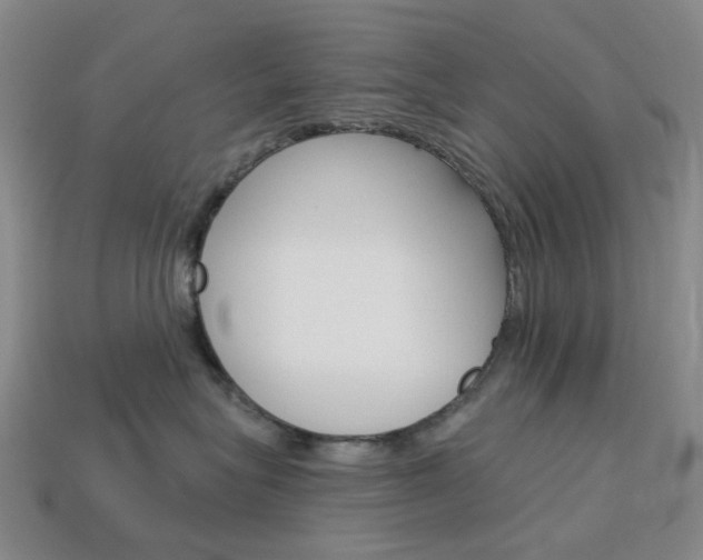 X0000114100575200910051233