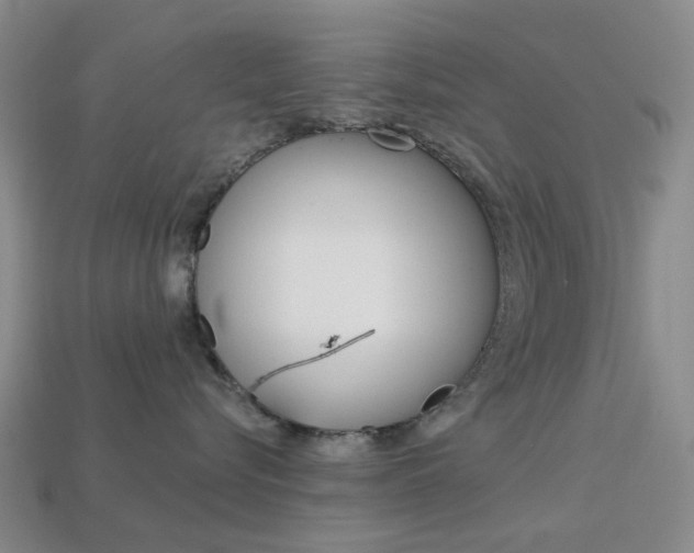 X0000114100576200910051233