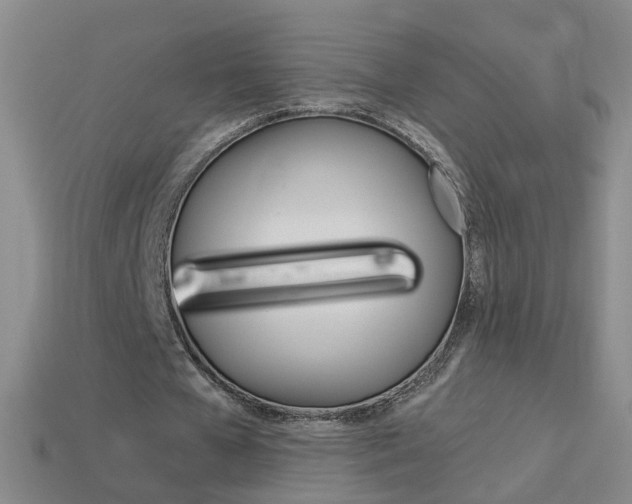 X0000114100577200910051232