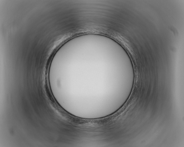 X0000114100578200910051232