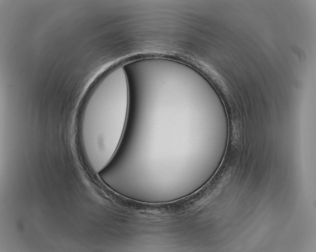 X0000114100580200910051232