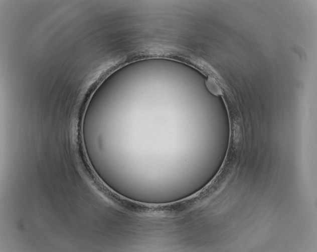 X0000114100581200910051232