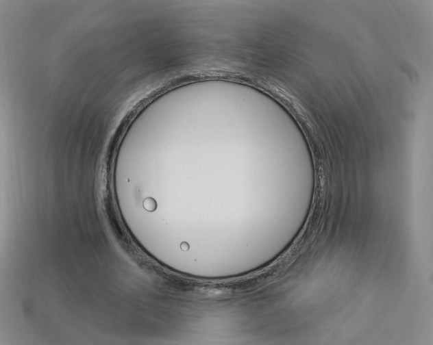 X0000114100582200910051232