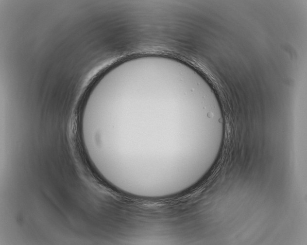 X0000114100583200910051232