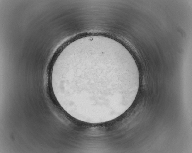 X0000114100584200910051232