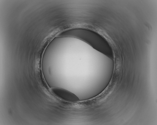 X0000114100585200910051232