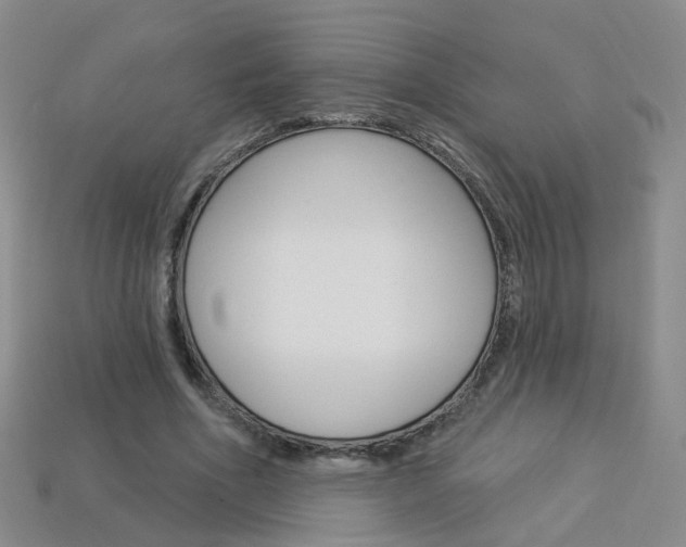 X0000114100586200910051232