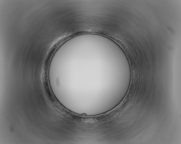 X0000114100587200910051232