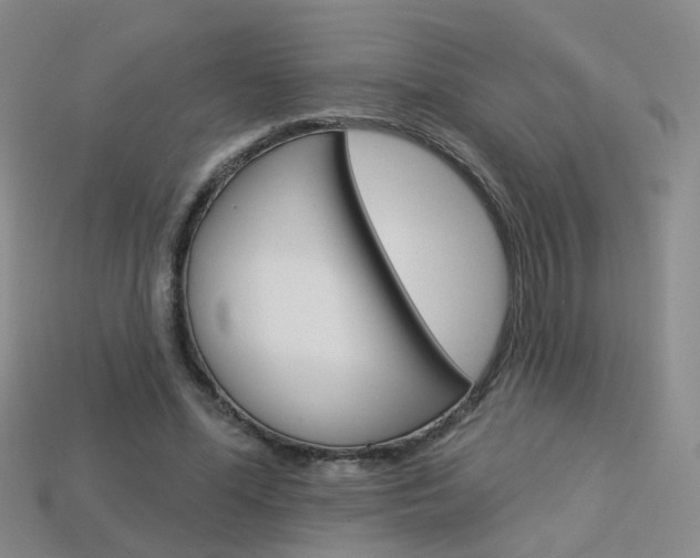 X0000114100588200910051232