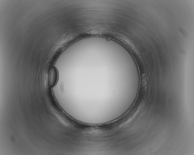 X0000114100589200910051232