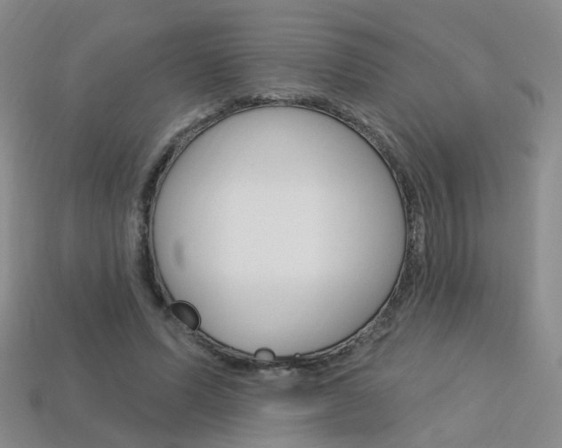 X0000114100591200910051232