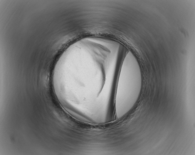 X0000114100592200910051232