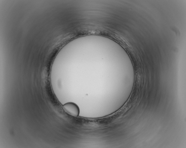 X0000114100594200910051232