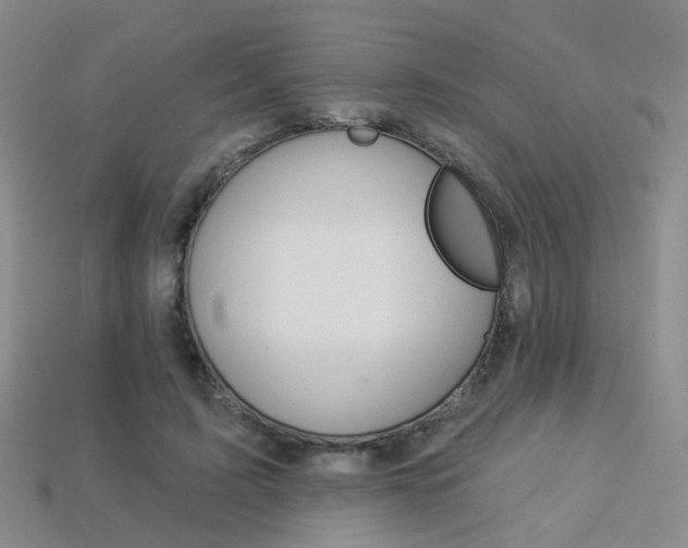 X0000114100595200910051232