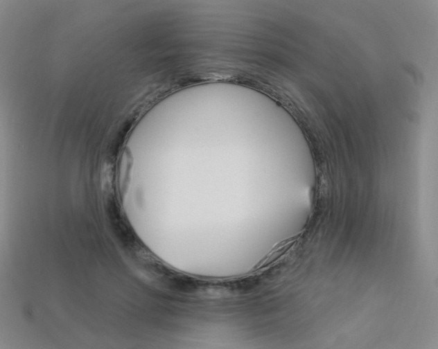 X0000114100598200910051232