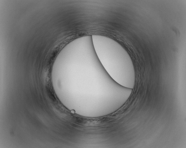 X0000114100599200910051232