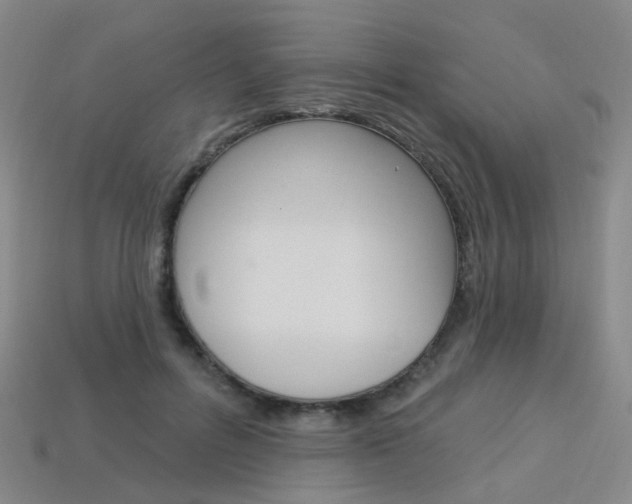 X0000114100600200910051232