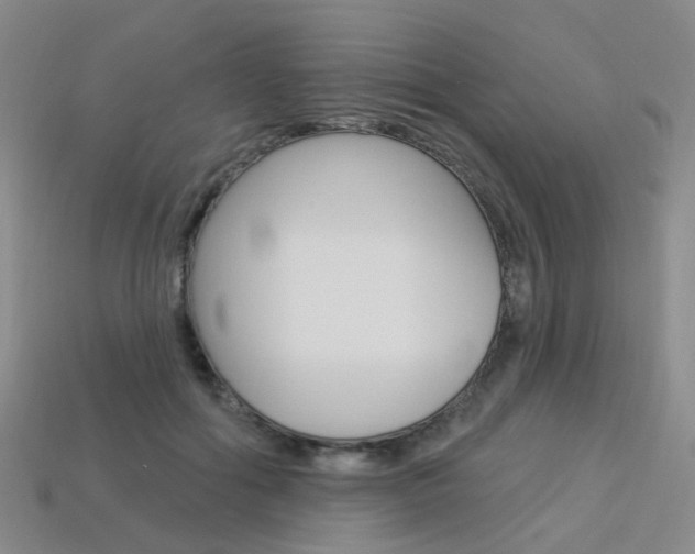 X0000114100602200910051232