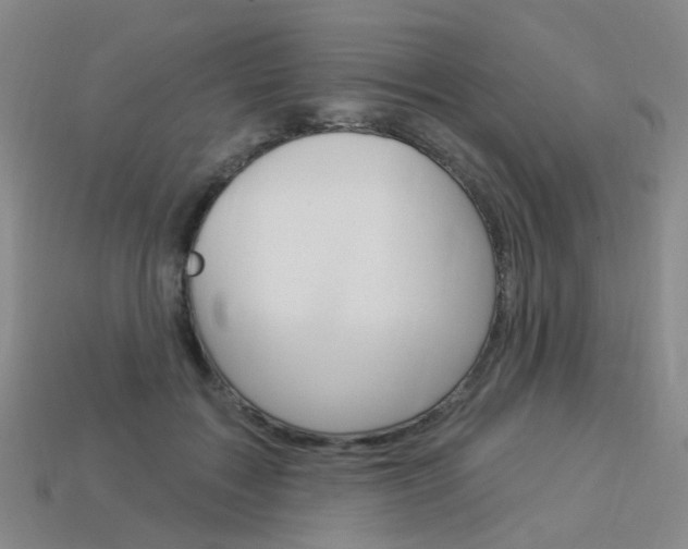 X0000114100603200910051232