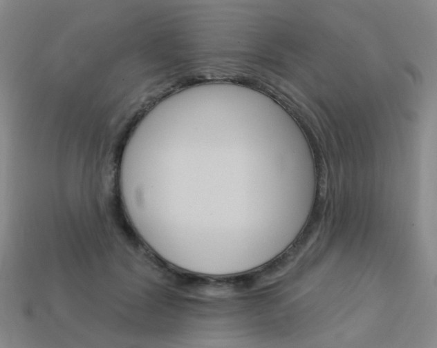 X0000114100604200910051232