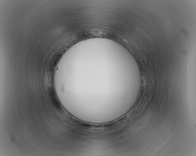 X0000114100606200910051232