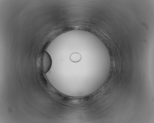 X0000114100611200910051232