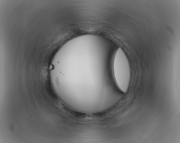 X0000114100612200910051232