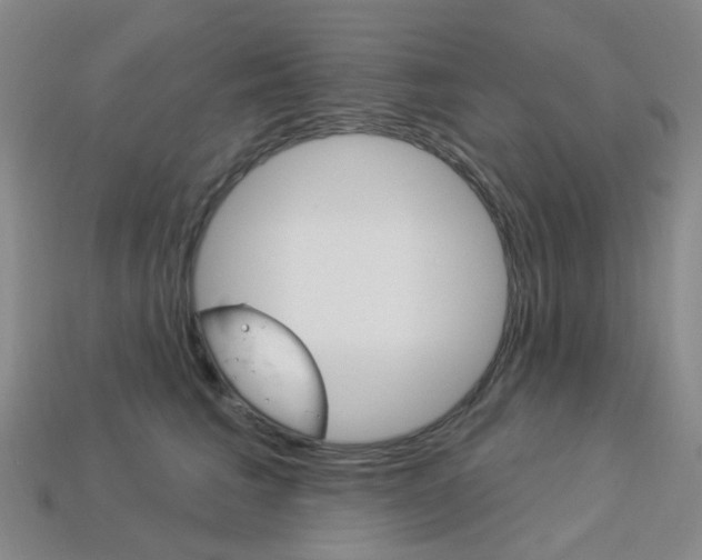 X0000114100613200910051232