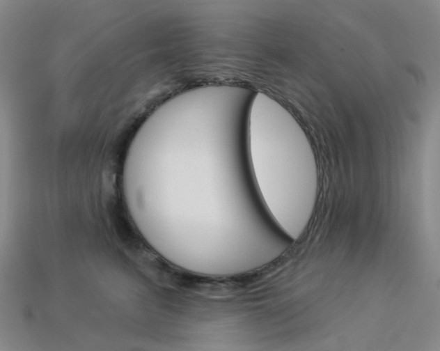 X0000114100615200910051232