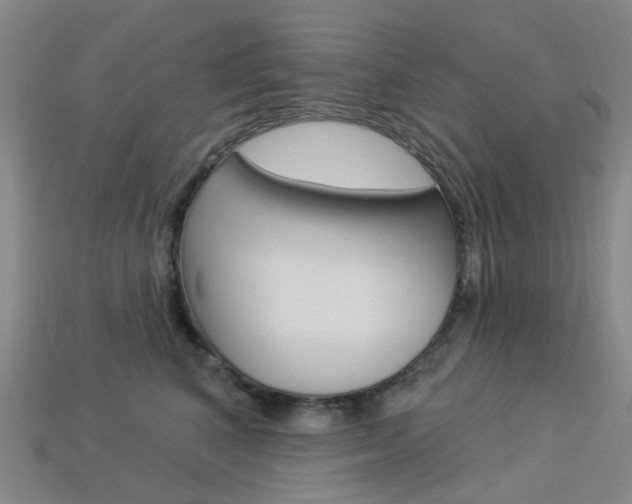 X0000114100616200910051232