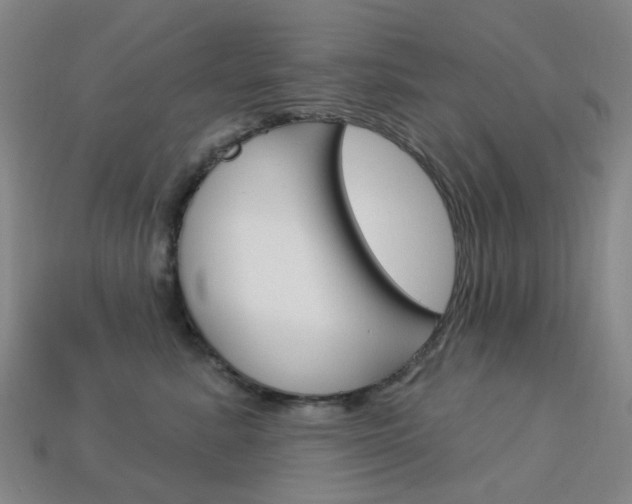 X0000114100619200910051232