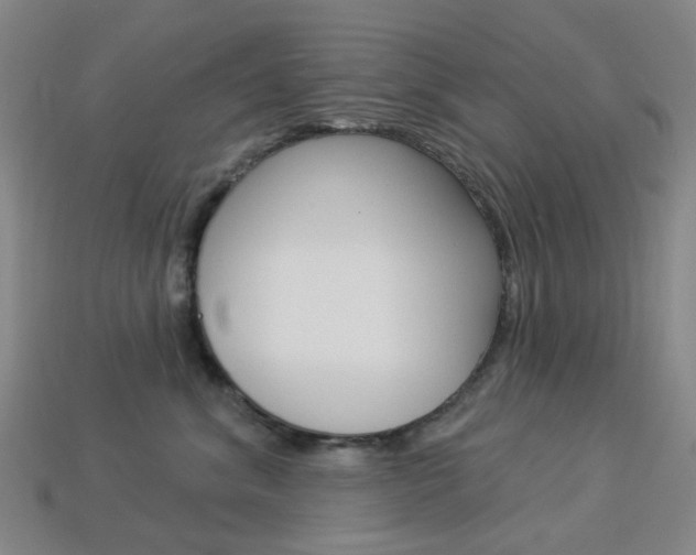 X0000114100620200910051232