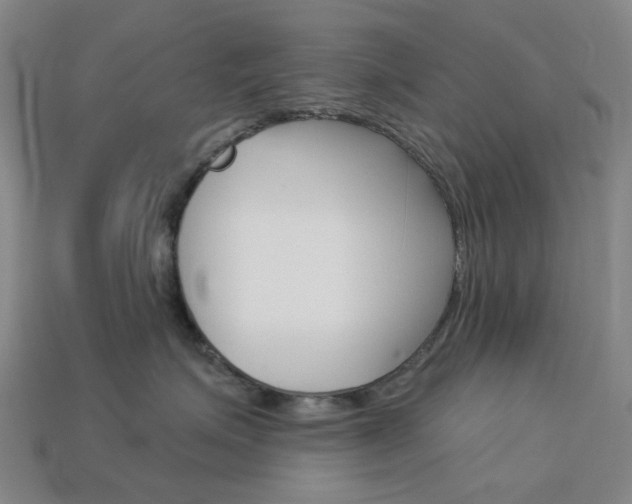 X0000114100623200910051232