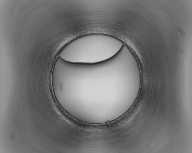 X0000114100625200910051231