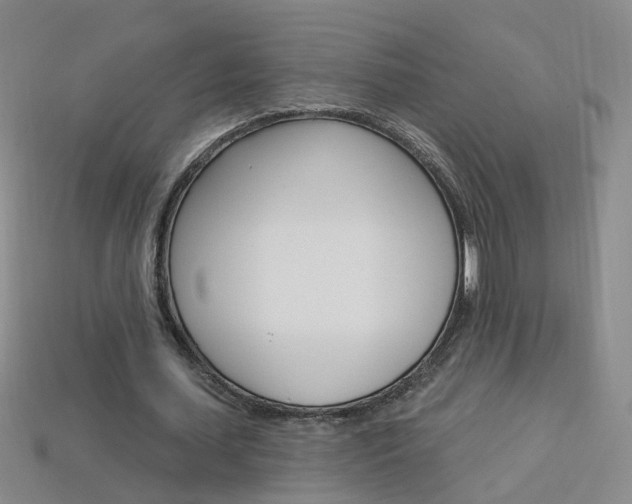 X0000114100627200910051231